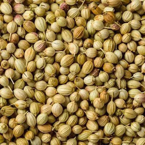 Seeds