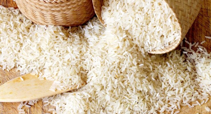 Rice