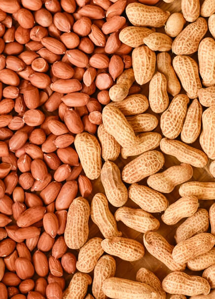 Kernels Bold Peanuts