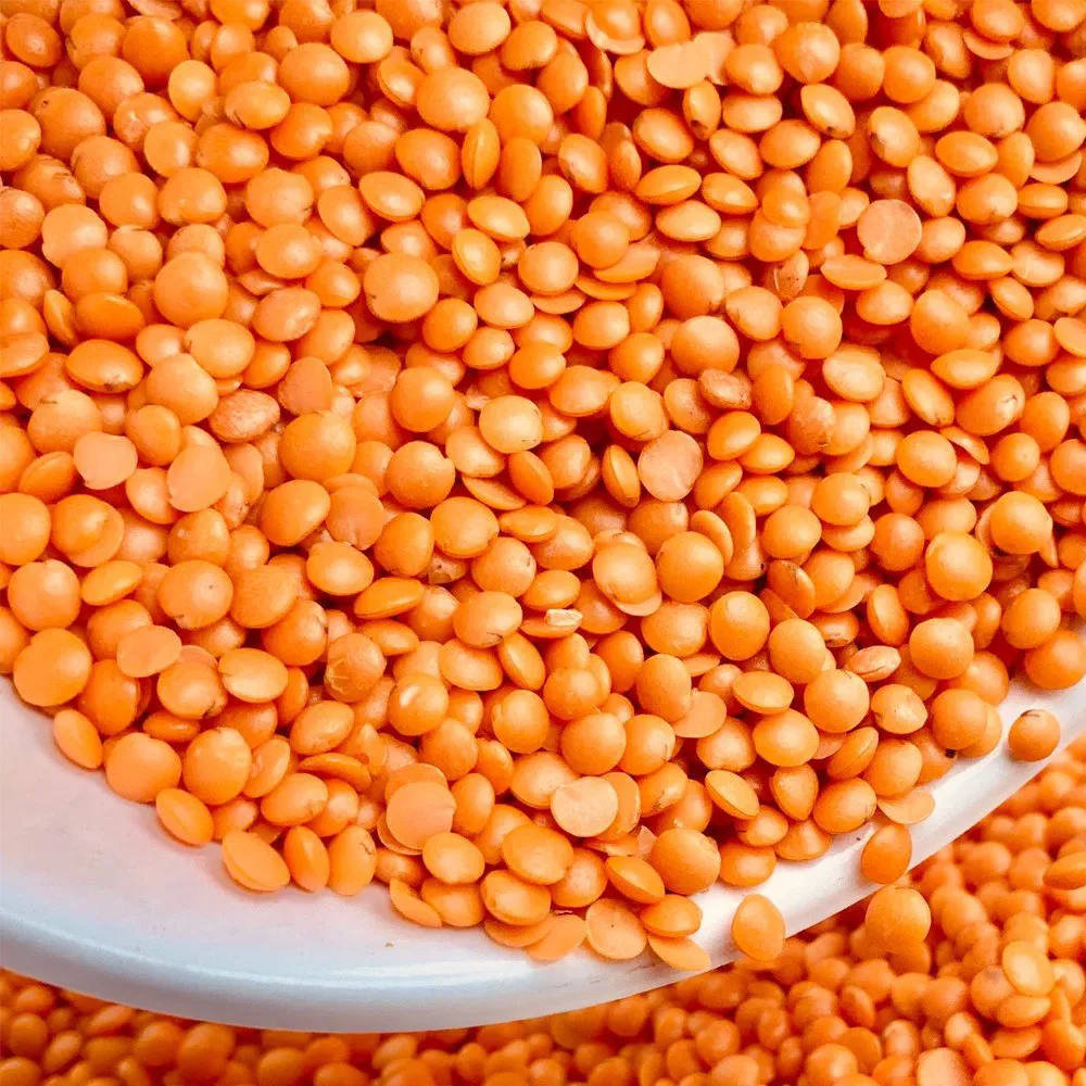 Lentils