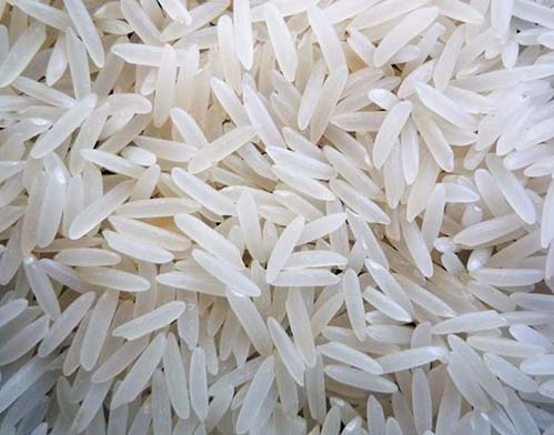 SHARBATI BASMATI